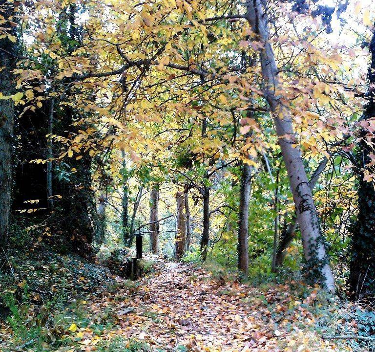 Photo of Outdoor in Carucedo