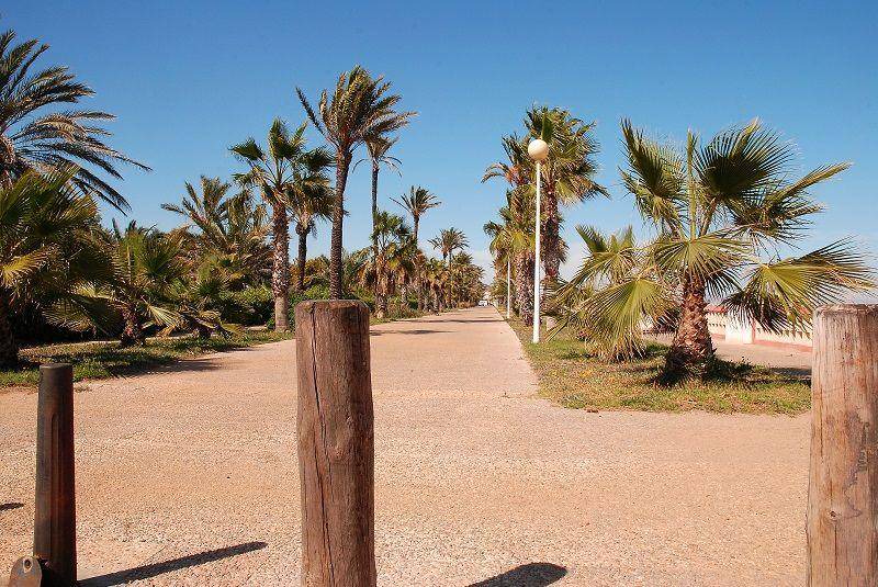 Photo of Others in El Algar