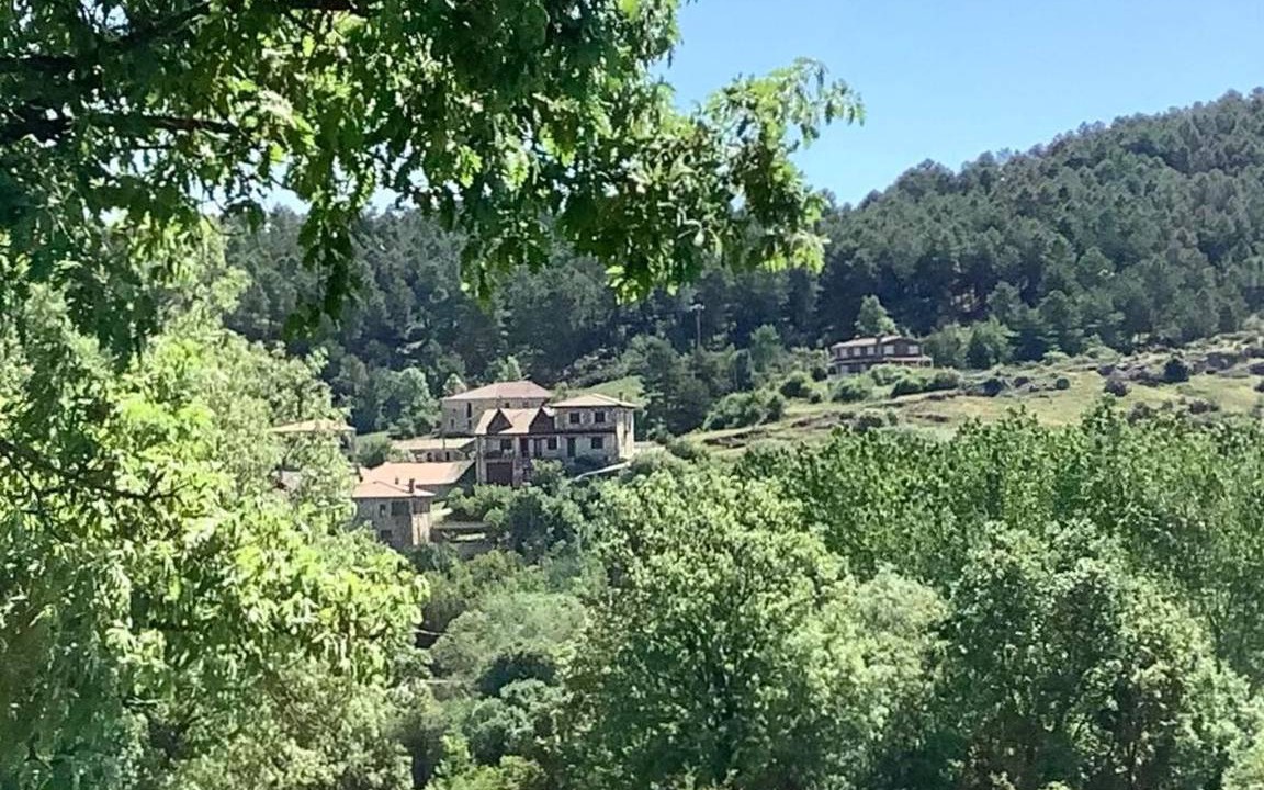 Photo of Others in Rabanera del Pinar