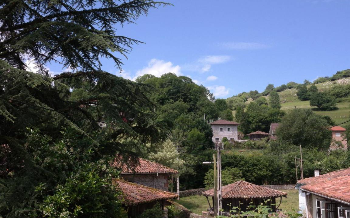 Photo of Others in San Juan de Parres