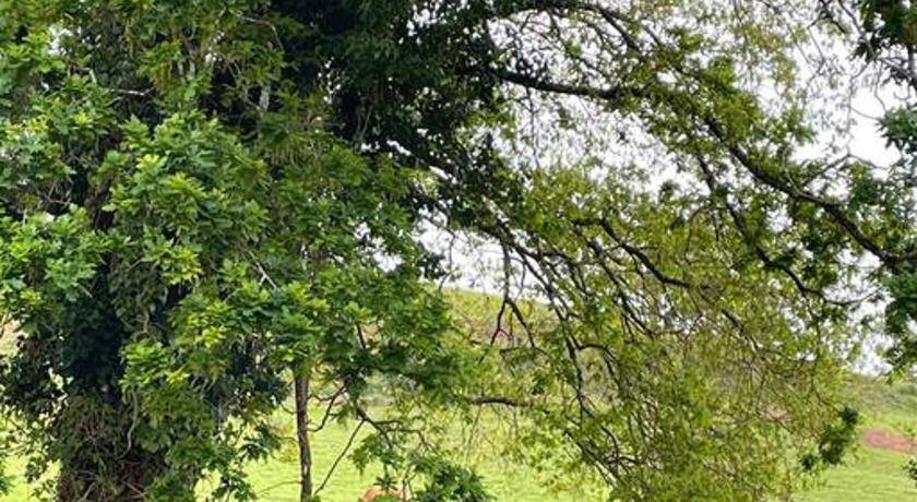 Photo of Others in Villaviciosa