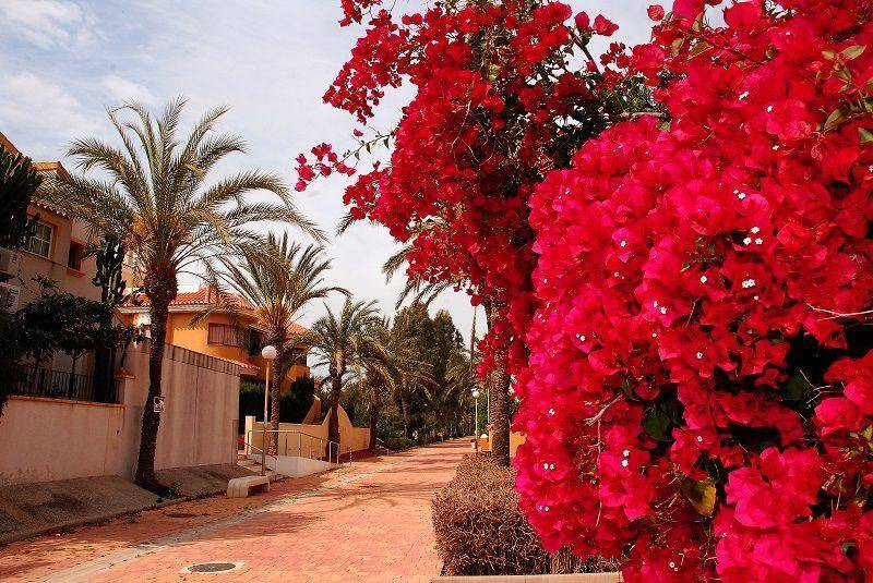 Photo of Others in El Algar