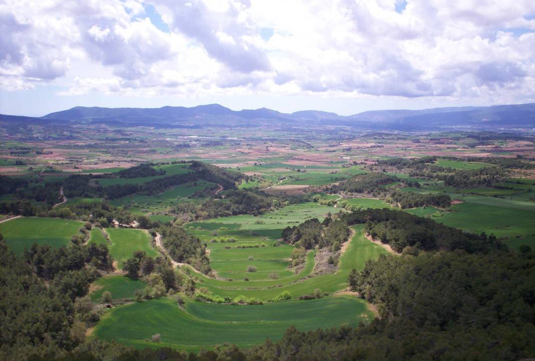 Photo of Others in Fores