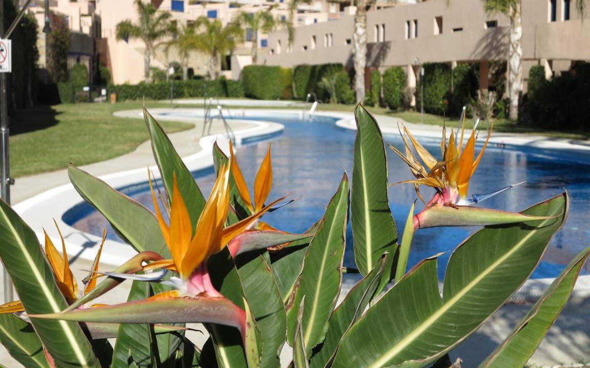 Photo of Others in Mojacar