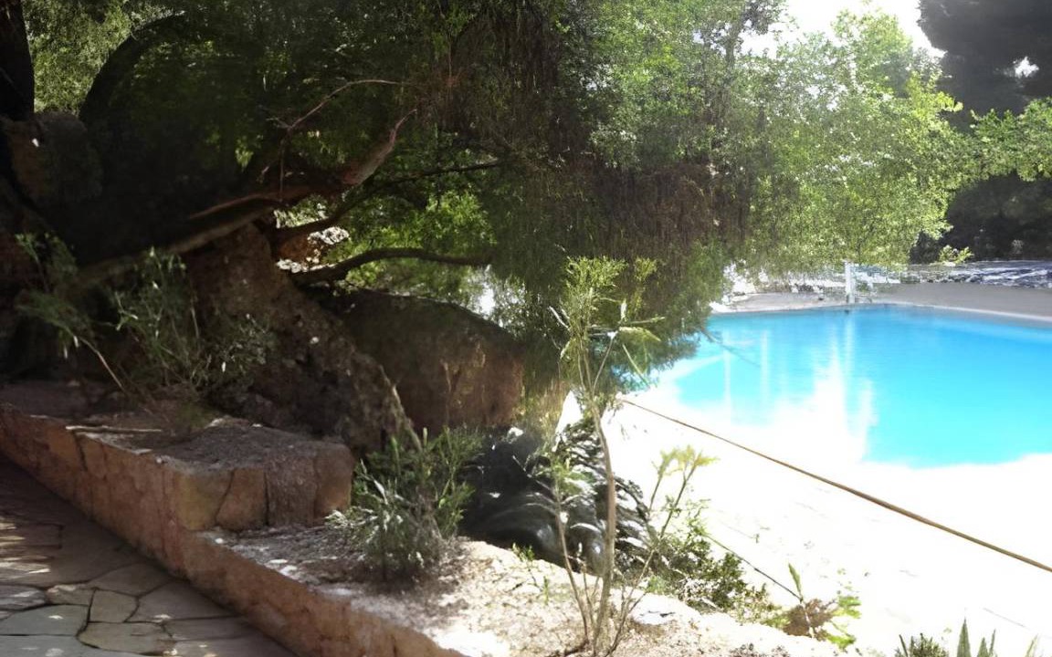 Photo of Others in Valldemossa