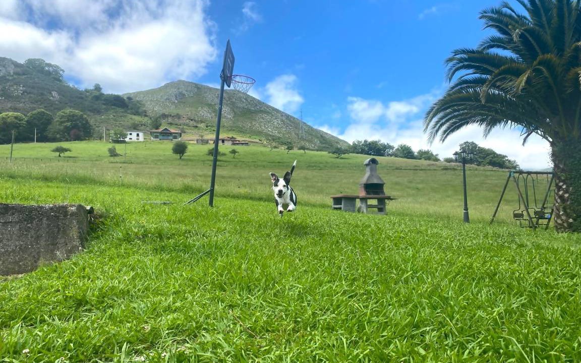 Photo of Outdoor in Arriondas