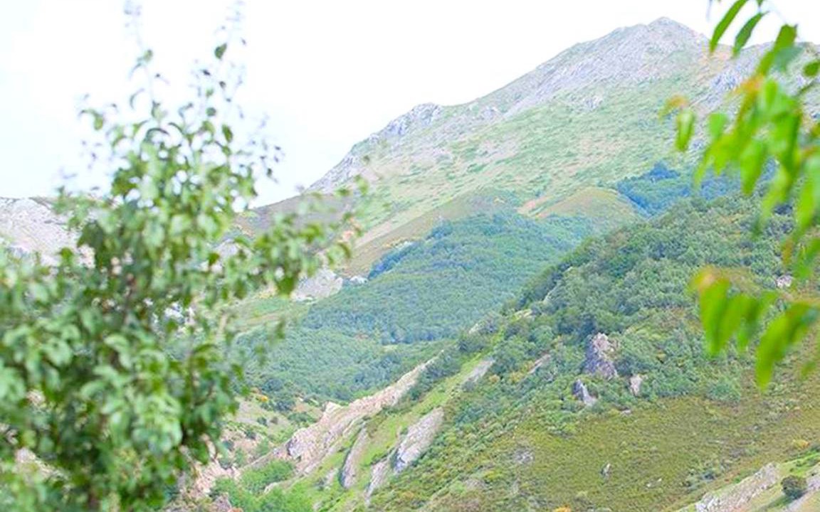 Photo of Others in Fuentes de Penacorada