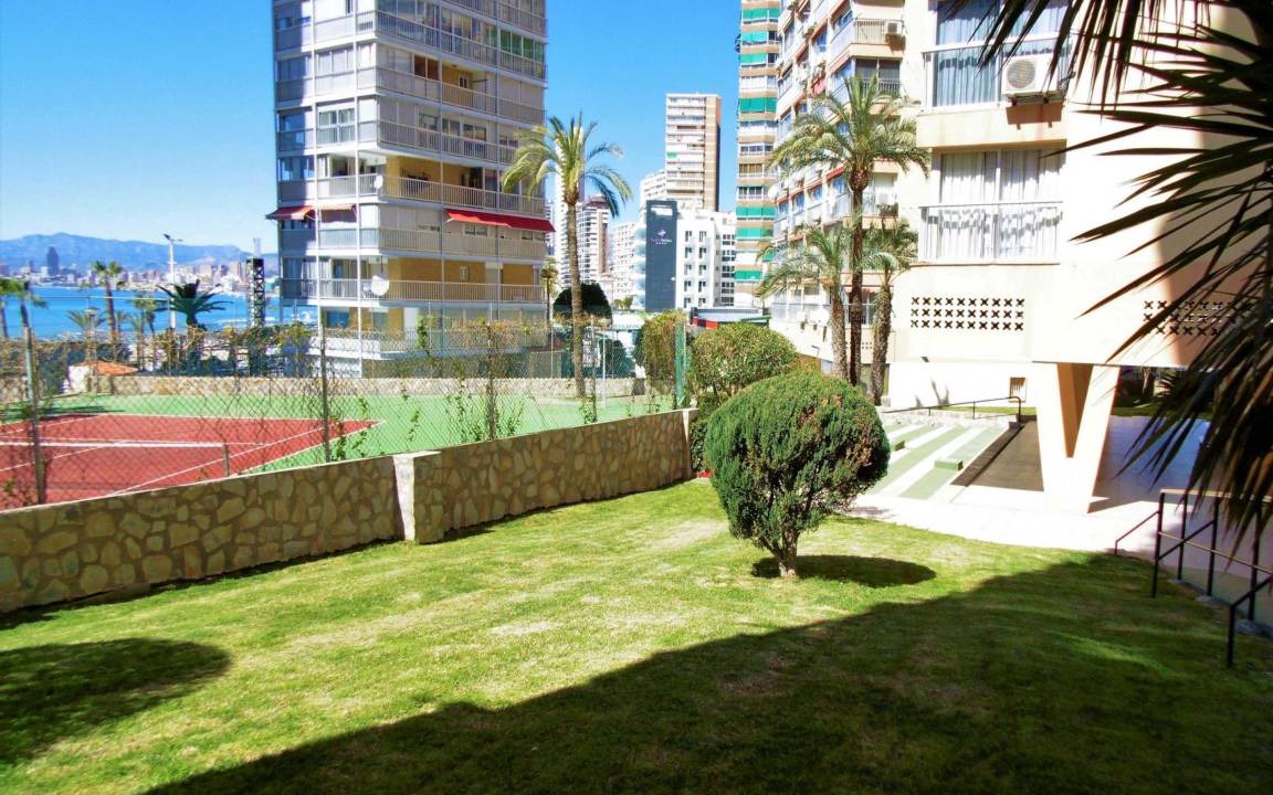 Photo of Others in Benidorm