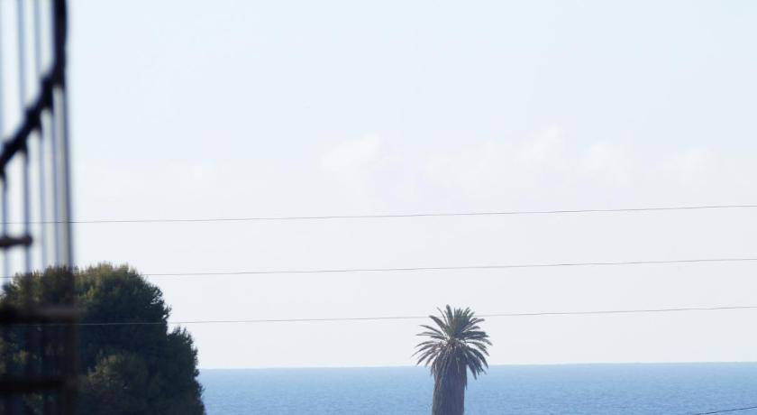 Photo of Others in Palomares