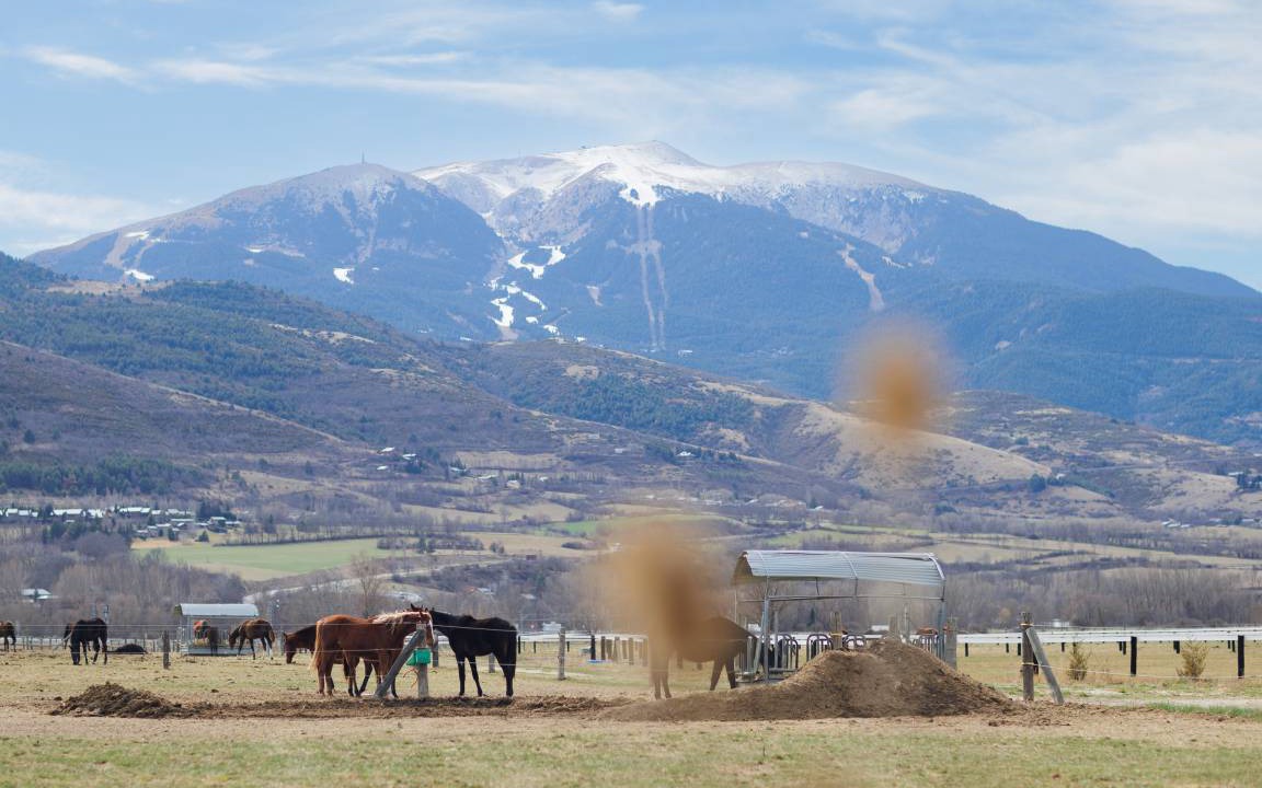 Photo of Others in Puigcerda
