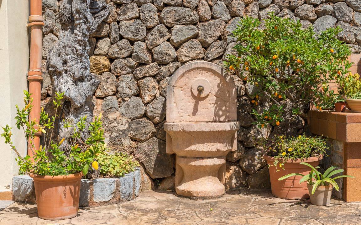 Photo of Others in Soller