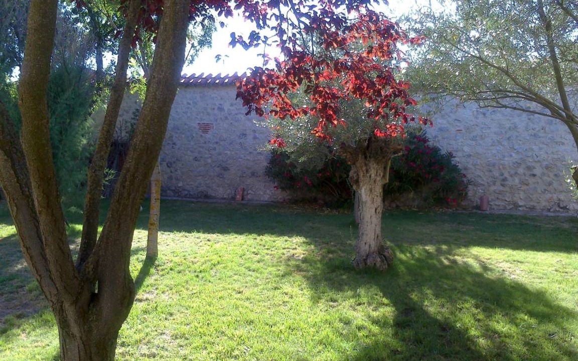 Photo of Outdoor in La Parrilla