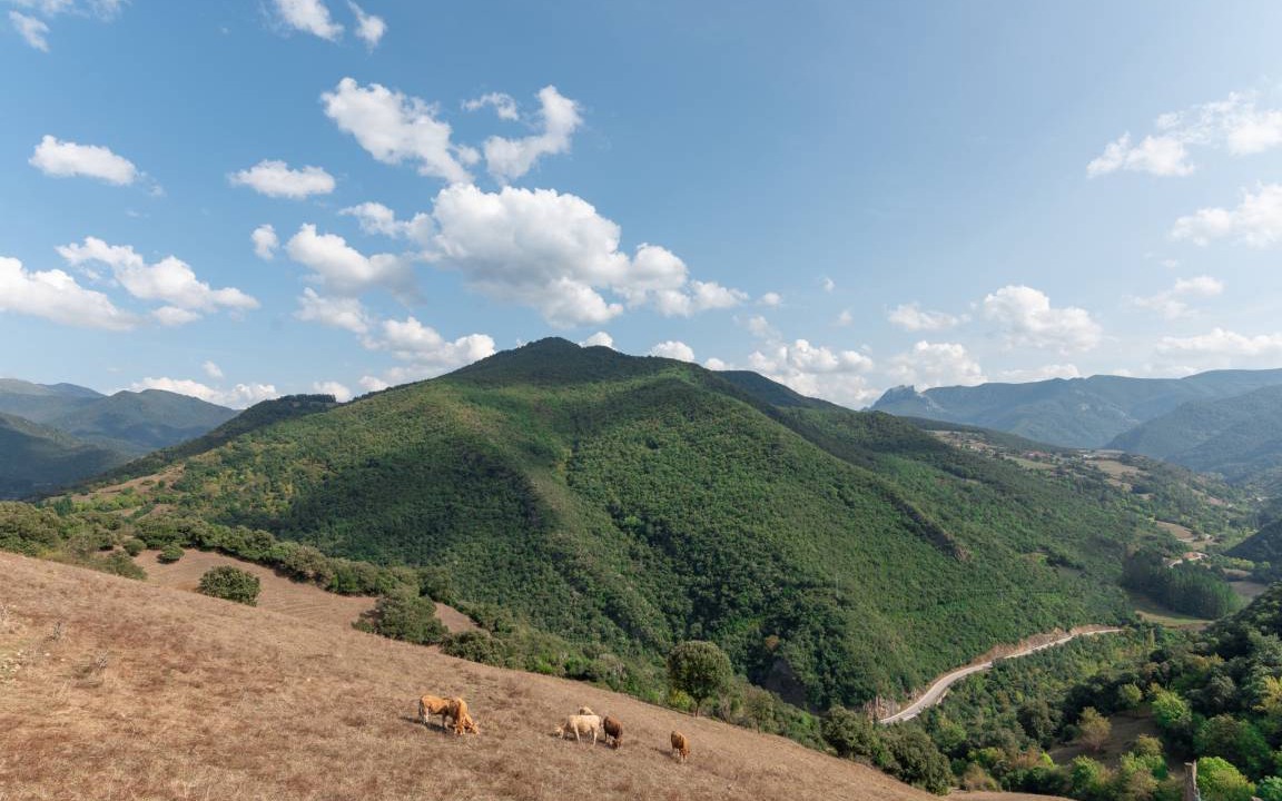 Photo of Others in Cabezon de Liebana