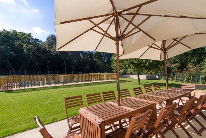 Photo of Patio Balcony in Cruilles