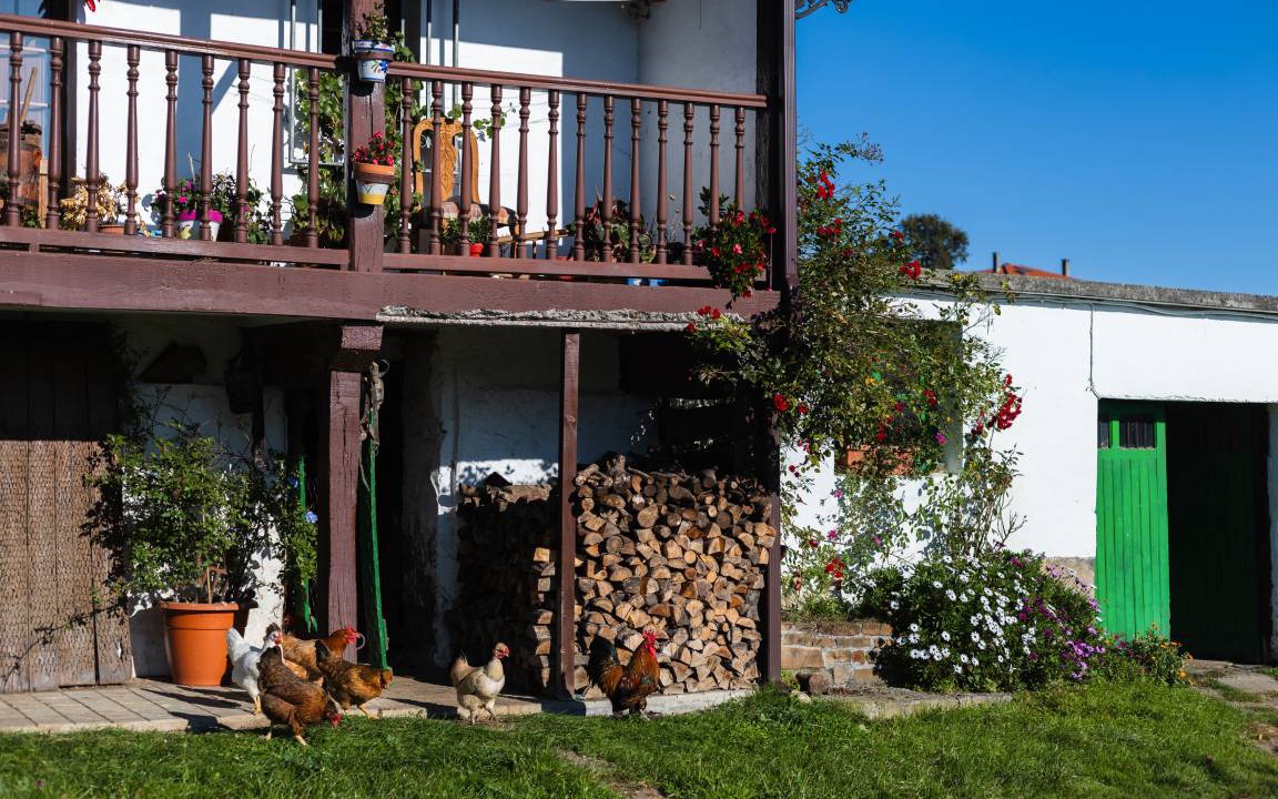 Photo of Others in Valle de Carranza