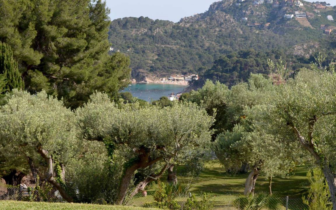 Photo of Outdoor in Aiguablava