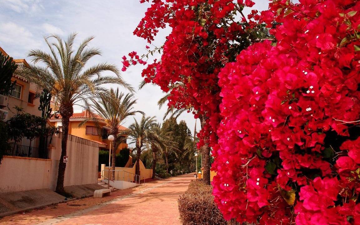 Photo of Others in El Algar