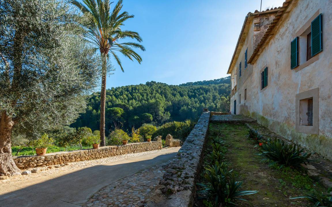 Photo of Others in Puigpunyent