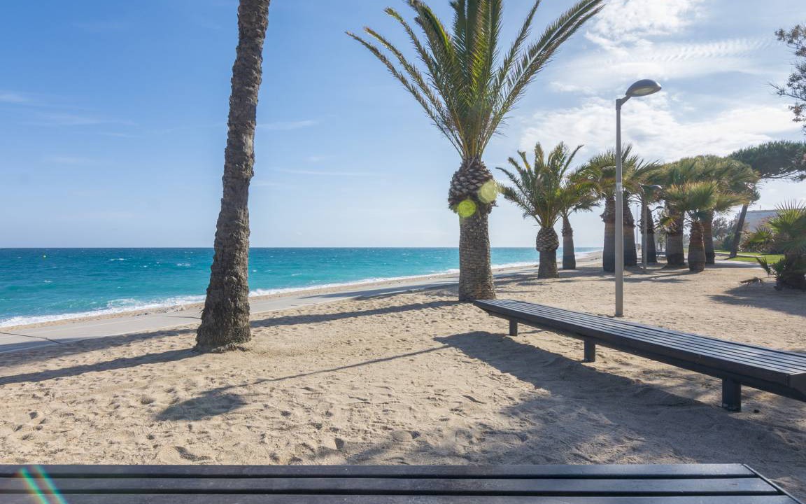 Photo of Others in Pineda de Mar