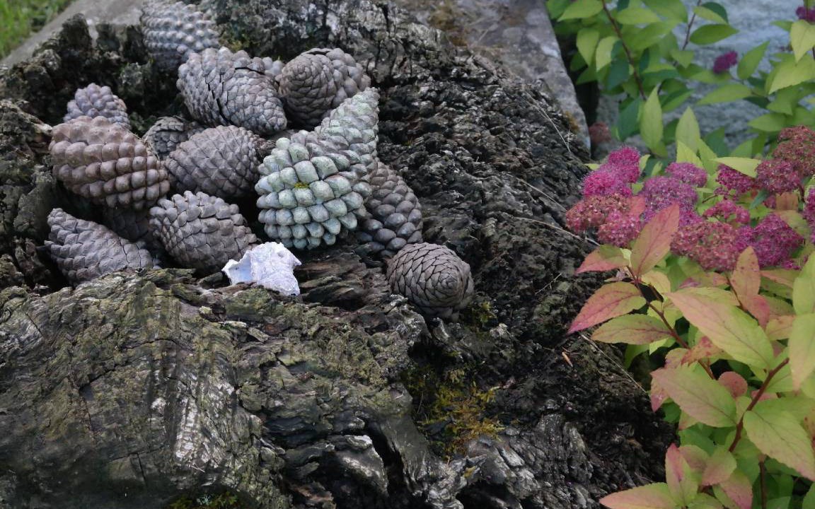 Photo of Outdoor in San Juan de Parres