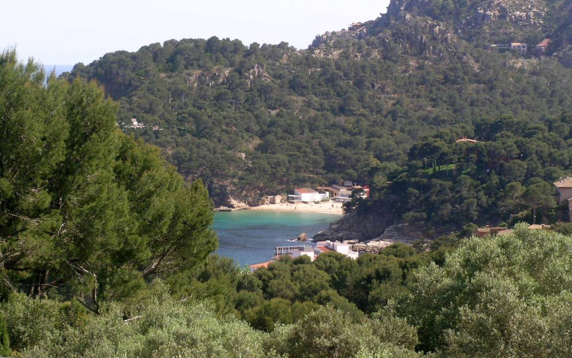 Photo of Others in Aiguablava