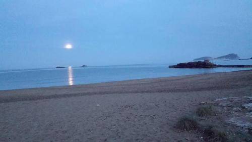 Photo of Others in Es Figueral Beach