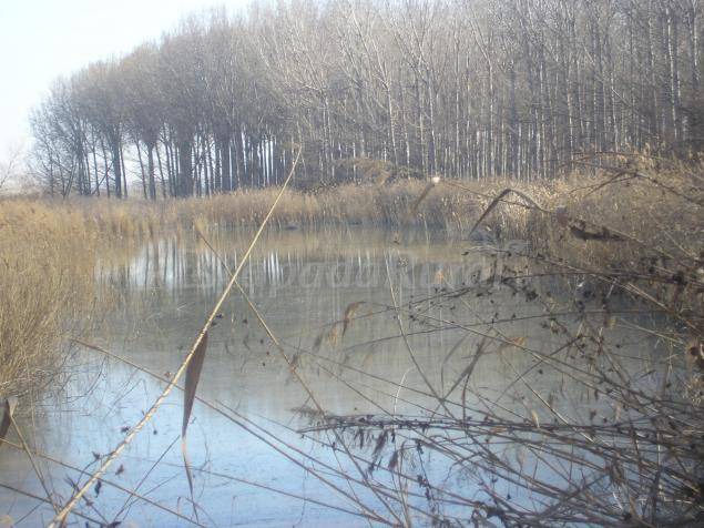 Photo of Others in Fuentes de Ebro