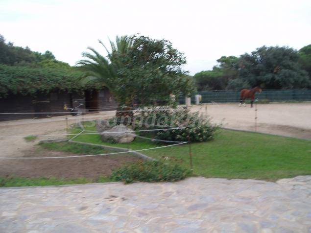 Photo of Others in Romanya de la Selva