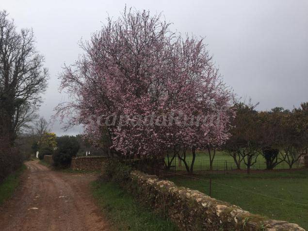 Photo of Others in Aracena