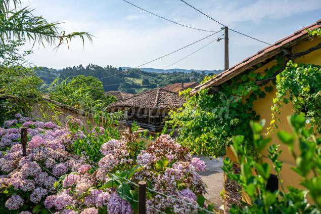 Photo of Others in Villaviciosa