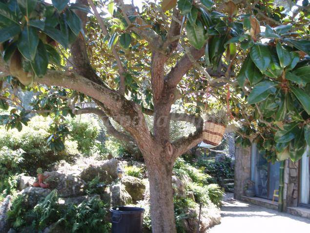 Photo of Others in Romanya de la Selva