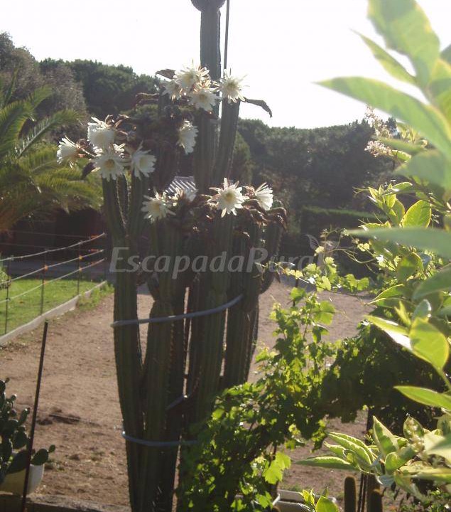 Photo of Others in Romanya de la Selva