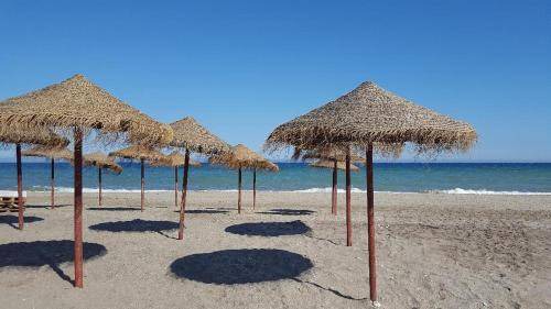 Photo of Others in Vera Beach