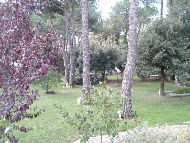 Photo of Others in Romanya de la Selva