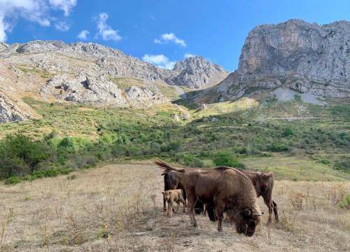 Photo of Others in Boca de Huergano