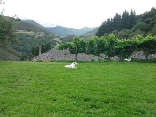 Photo of Others in Allande