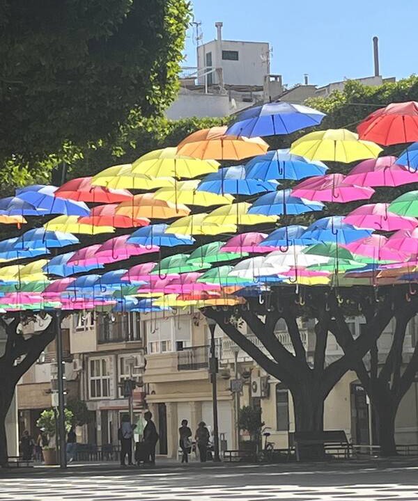 Photo of Others in Almoradi
