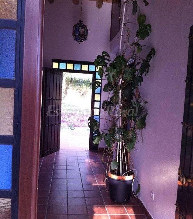 Photo of Others in Aracena