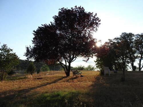 Photo of Others in Soria