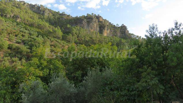 Photo of Others in Villanueva del Arzobispo