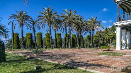 Photo of Others in Malaga-Este