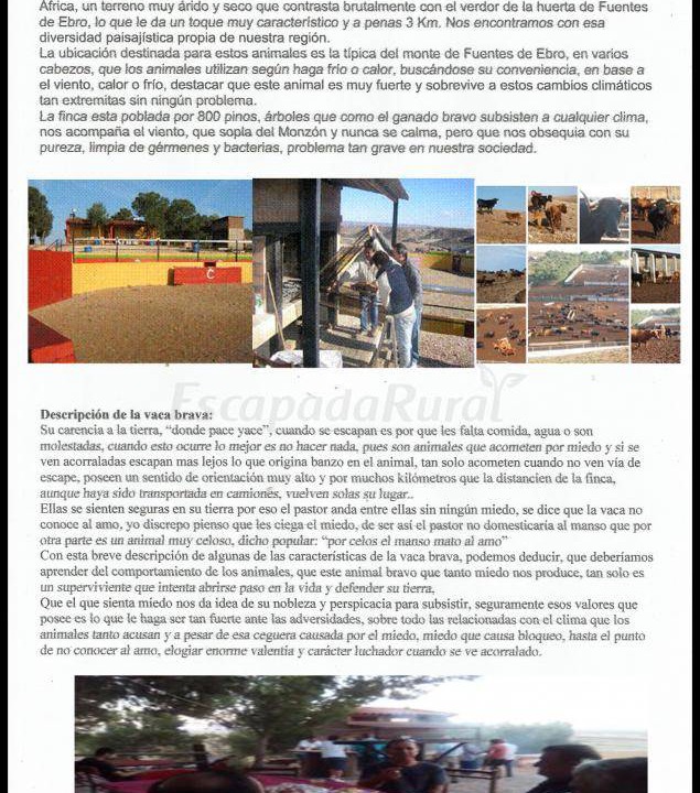 Photo of Others in Fuentes de Ebro