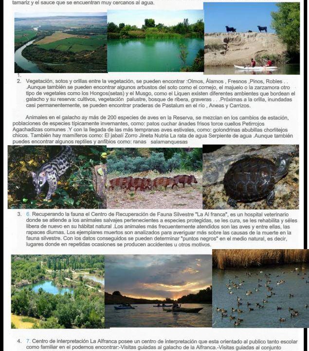 Photo of Others in Fuentes de Ebro