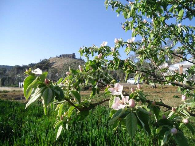 Photo of Others in Aracena