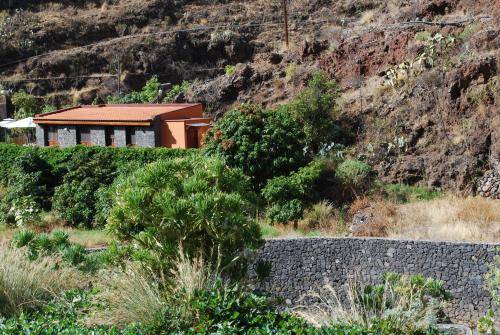 Photo of Others in Santa Cruz de Tenerife