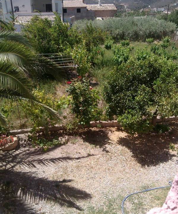 Photo of Others in Sorbas