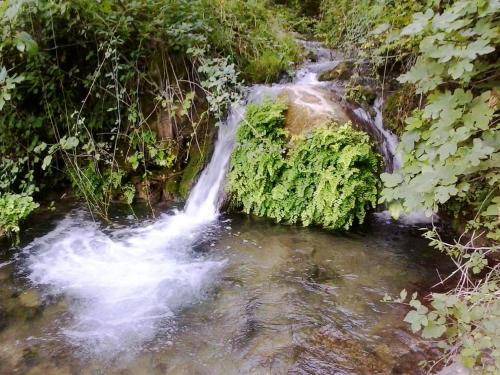 Photo of Others in Cazorla