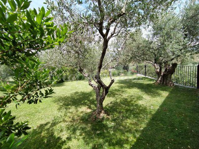Photo of Others in Panzano