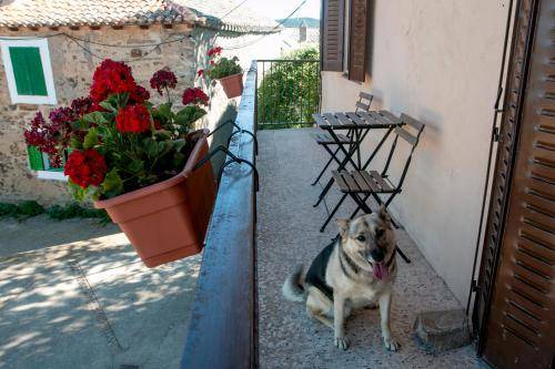 Photo of Others in Rabanal del Camino
