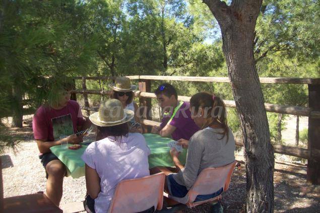 Photo of Others in Fuentes de Ebro